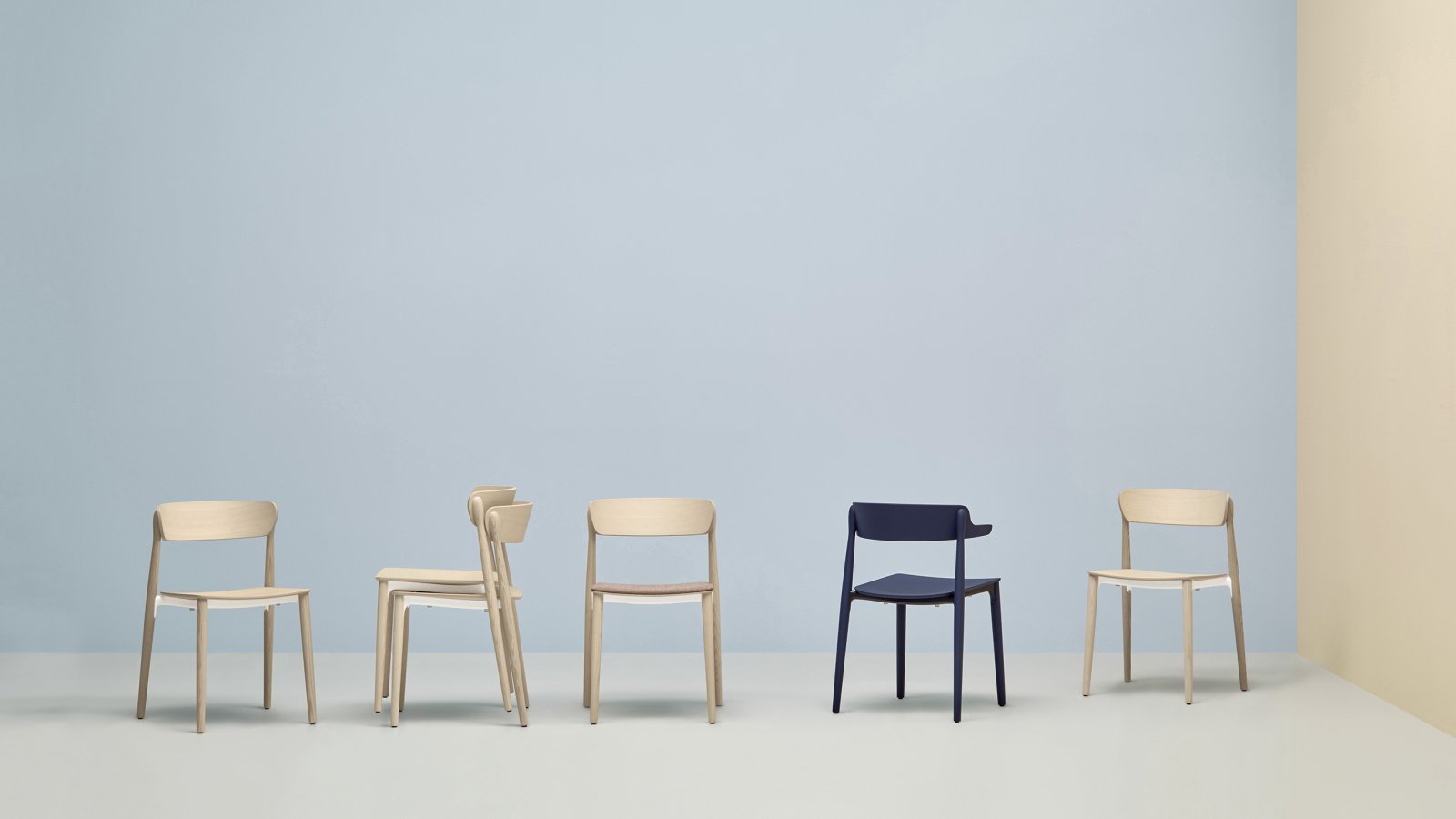 Designstolen Nemea från Pedrali i ask