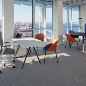 Grupparbete med rullande Cila Go