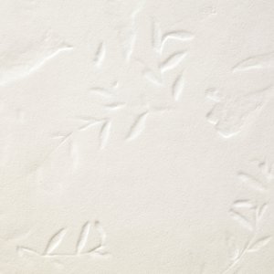 Chymia Mix-plattor med olika mönster ur samma kartong