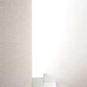 Detalj av Phenomenons fogar