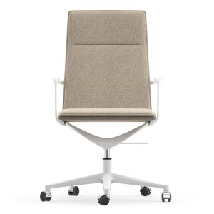 Valea Chair med bronslackerad ram