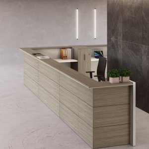 Receptionsdisk Nice i entrén hos ett företag i Stockholm