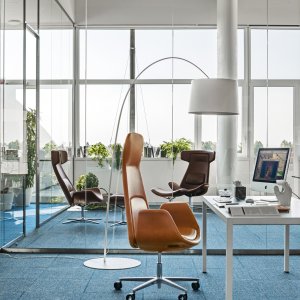 Tvåfärgad Nordic med kontrasterande skal