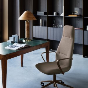 Genomgående monocoque av sits och rygg på Milani Synua