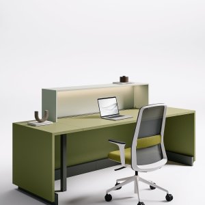 Symmetrisk komposition av receptionsdisken Z1