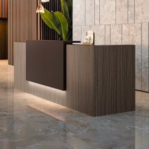 Z2 från Quadrifoglio receptionsdisk med deklarerade material utan SVHC-ämnen