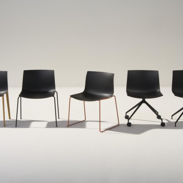 Catifa Carta